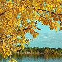 ���� �������, �������, 44 ���� - ��������� 3 ������� 2023