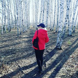 ����, ������������, 54 ����