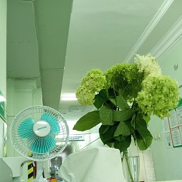 ���, ������, 37 ���