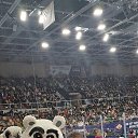 ���� ������, �����, 20 ��� - ��������� 17 ����� 2023 � ������ ���� ����������