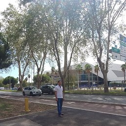 �������, ������, 50 ���