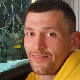 ����, �����-���������, 35 ���