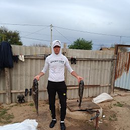 Murat, ������, 35 ���