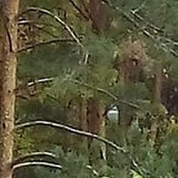 ���������, ����������, 65 ���