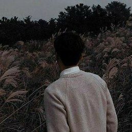 �����, ������, 23 ����