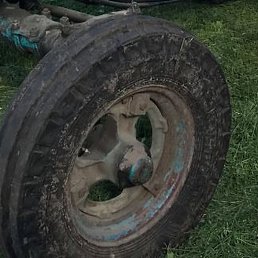 �����, ���, 40 ���