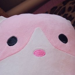 ���� ����, ������, 20 ��� - ��������� 22 �������� 2023