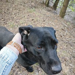 ��������, �����, 20 ���