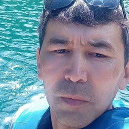 �����, ������, 43 ����