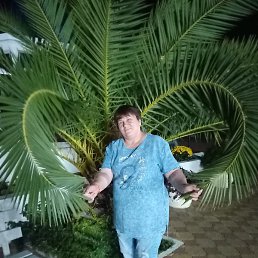 ������, �����������, 58 ���