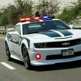 Kolya, �����, 40 ���