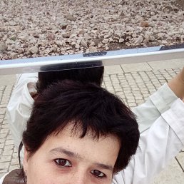 �������, 38 ���, ���������