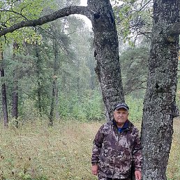 ��������, ���������, 66 ���