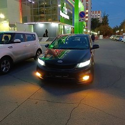 �������, ������, 54 ����