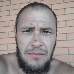 ��������, ������, 49 ���