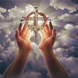 ��������, ����������, 56 ���