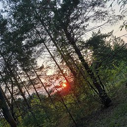 �������, ���������, 32 ����