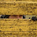 ���� ����, ������������, 42 ���� - ��������� 21 �������� 2023 � ������ ���� ����������