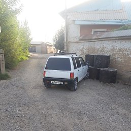 ����������, �����������, 48 ���