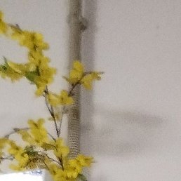 ������, ������, 51 ���