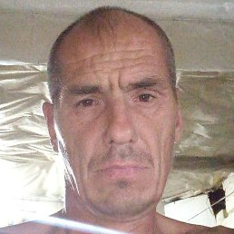 ���� ����, ������, 46 ���