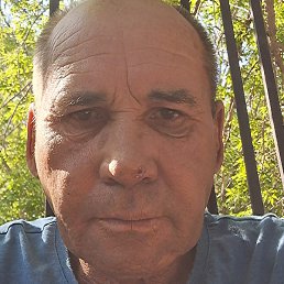 �������, ���������, 64 ����