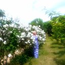 ���� �����, ������ ���, 59 ��� - ��������� 25 ��� 2023 � ������ ���� ����������