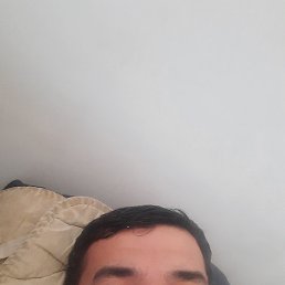 �����, ������, 44 ����