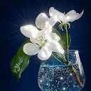 ���� ���������, ��������� - ��������� 18 ������� 2023 � ������ ������