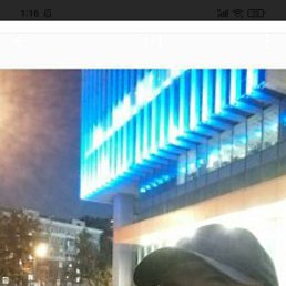 ���� �����, �����������, 54 ���� - ��������� 13 ���� 2023