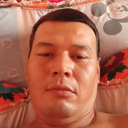 Bobur, �������, 37 ���