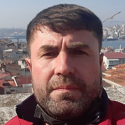 ������, �����-���������, 50 ���