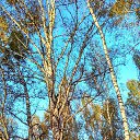 ���� �����, ������, 59 ��� - ��������� 10 ������� 2023 � ������ ������ ��������