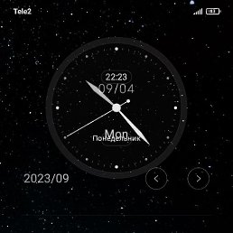 ����, ������, 41 ���