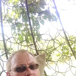 ���������, ���������, 45 ���