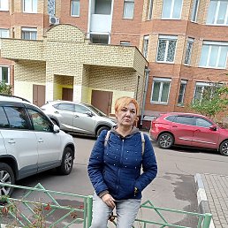 �������, ������, 54 ����