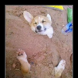 Alecs, �����������, 38 ���