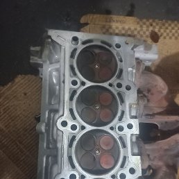 Xamid, �������, 22 ����