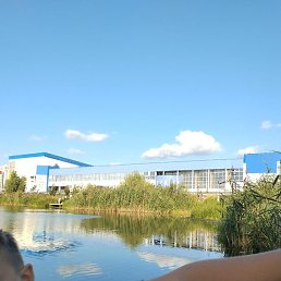 �������, ������, 37 ���