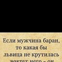 ���� ����, ���������, 50 ��� - ��������� 27 ��� 2023 � ������ �������