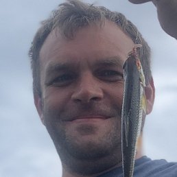 ������, ���������, 42 ����