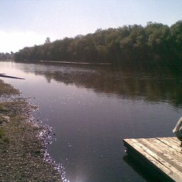 ����, ������, 43 ����