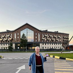 ����, �������, 56 ���