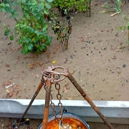 Gsnsnv, ��������, 44 ����