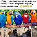  , --, 62  -  25  2023    