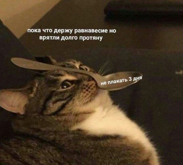    - 26  2023  22:34