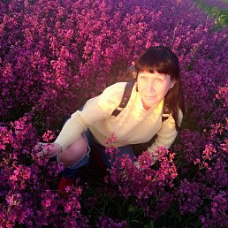 ������, ������, 51 ���