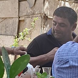 �,�,�,, ����, 53 ����