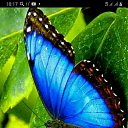 ���� ������, ������, 39 ��� - ��������� 10 ���� 2023