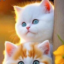 ���� �������, ������, 64 ���� - ��������� 23 �������� 2023